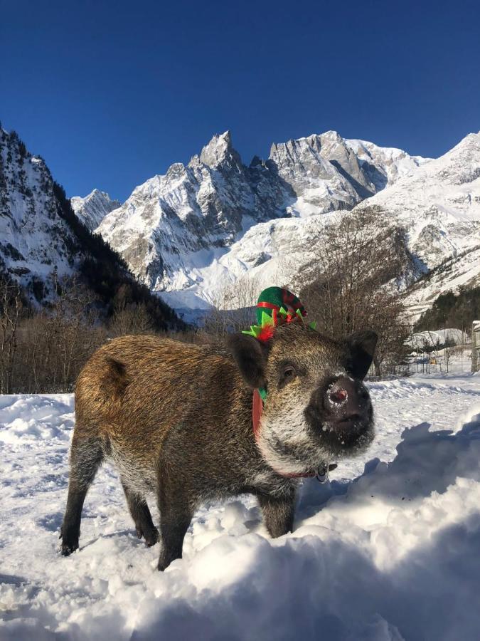 Hotel La Grange - Animal Chic Hotel Courmayeur Exterior photo
